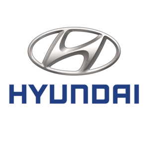 Tijdafstel gereedschap Hyundai