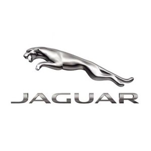 Tijdafstel gereedschap Jaguar