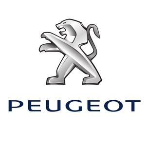 Tijdafstel gereedschap Peugeot